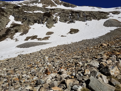 Mount Democrat (05).jpg